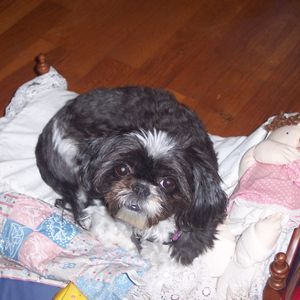 Meet your Posher, Audrey